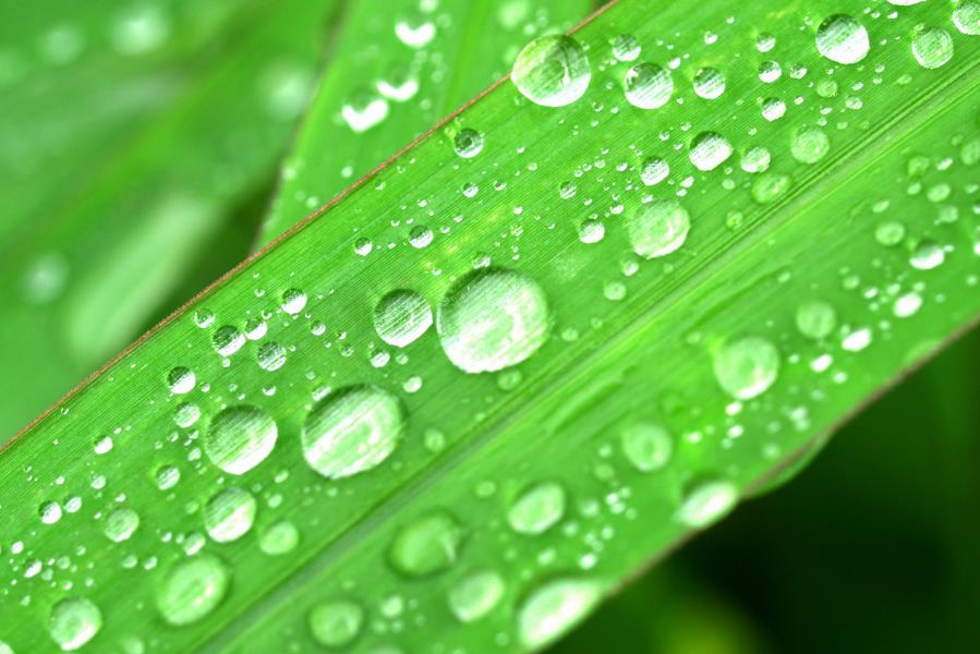 高分辨率圖片.jpg 高分辨率圖片.jpg